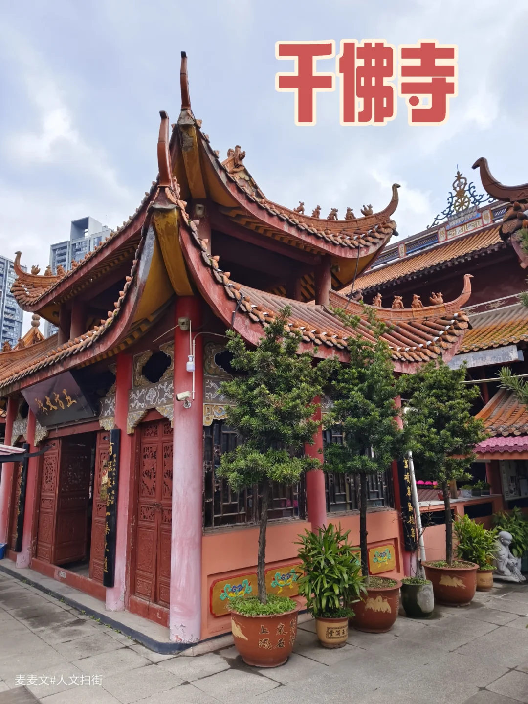 【南岸】南滨路上的隐秘佛国千佛寺