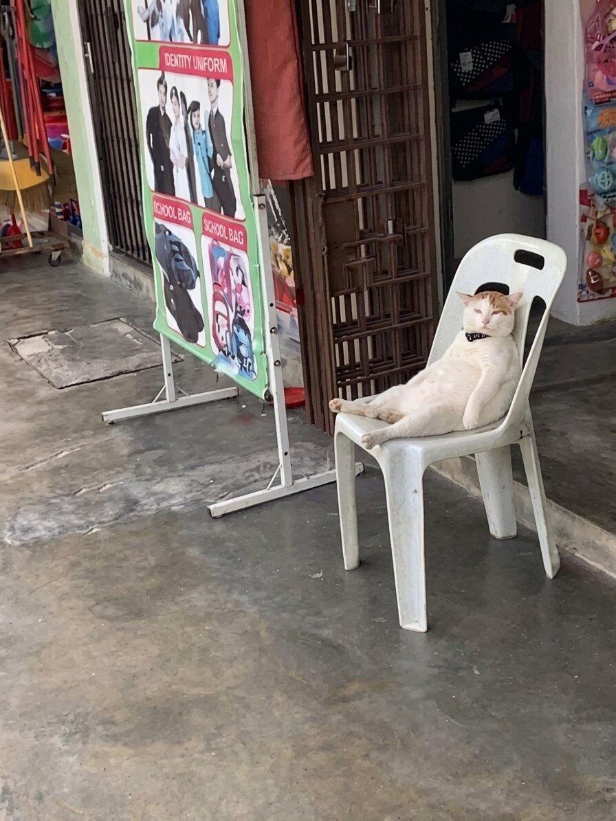 过度思考后的我 ​​​