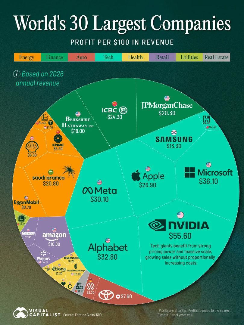 财富全球500强中排名前30的公司的利润率对比🆚 ​