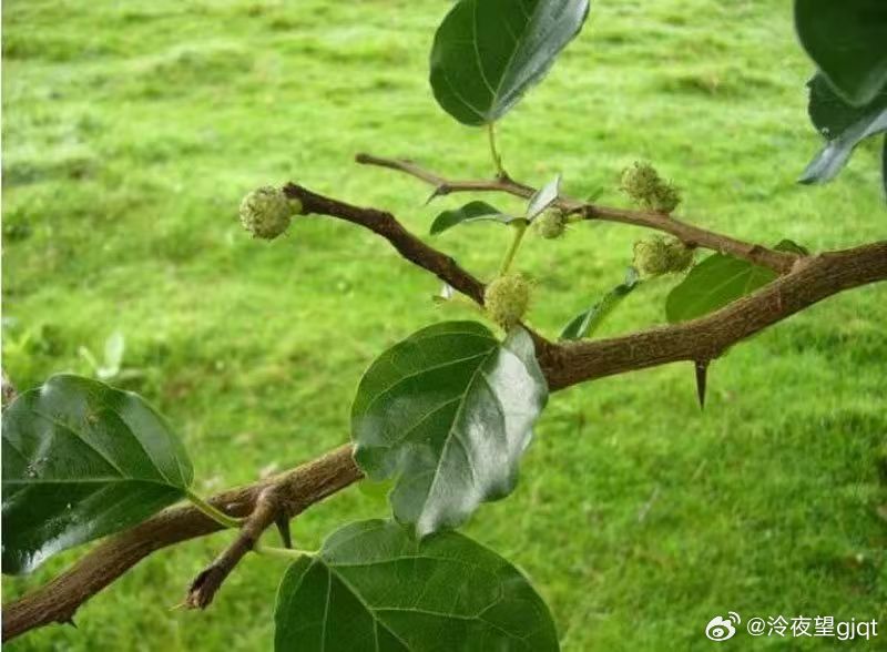 其实想想挺唏嘘的：广西到黑龙江3400公里，天津到广州2100公里，珠...