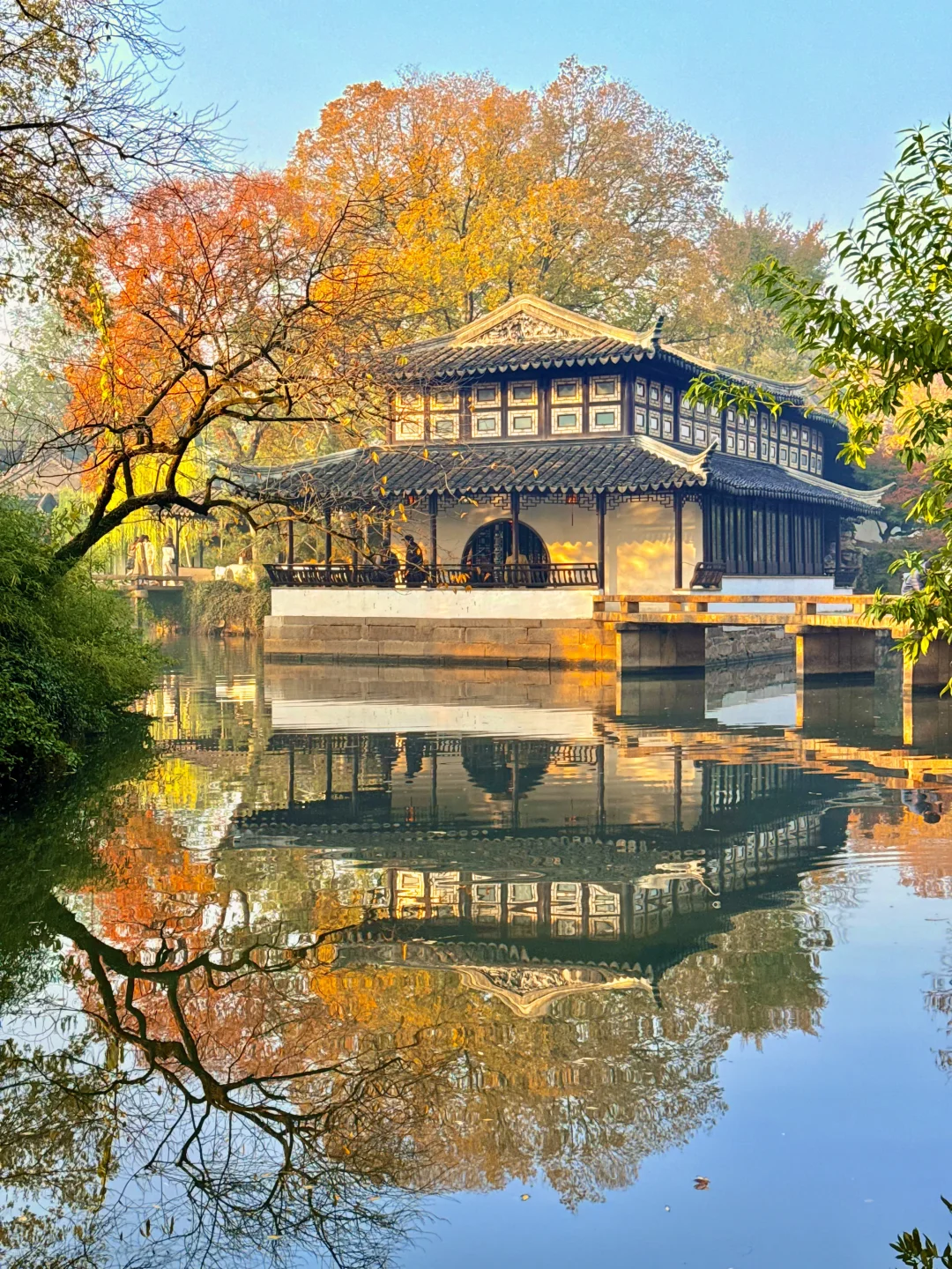 11.23实拍Live🍁苏州拙政园秋色已上线‼️