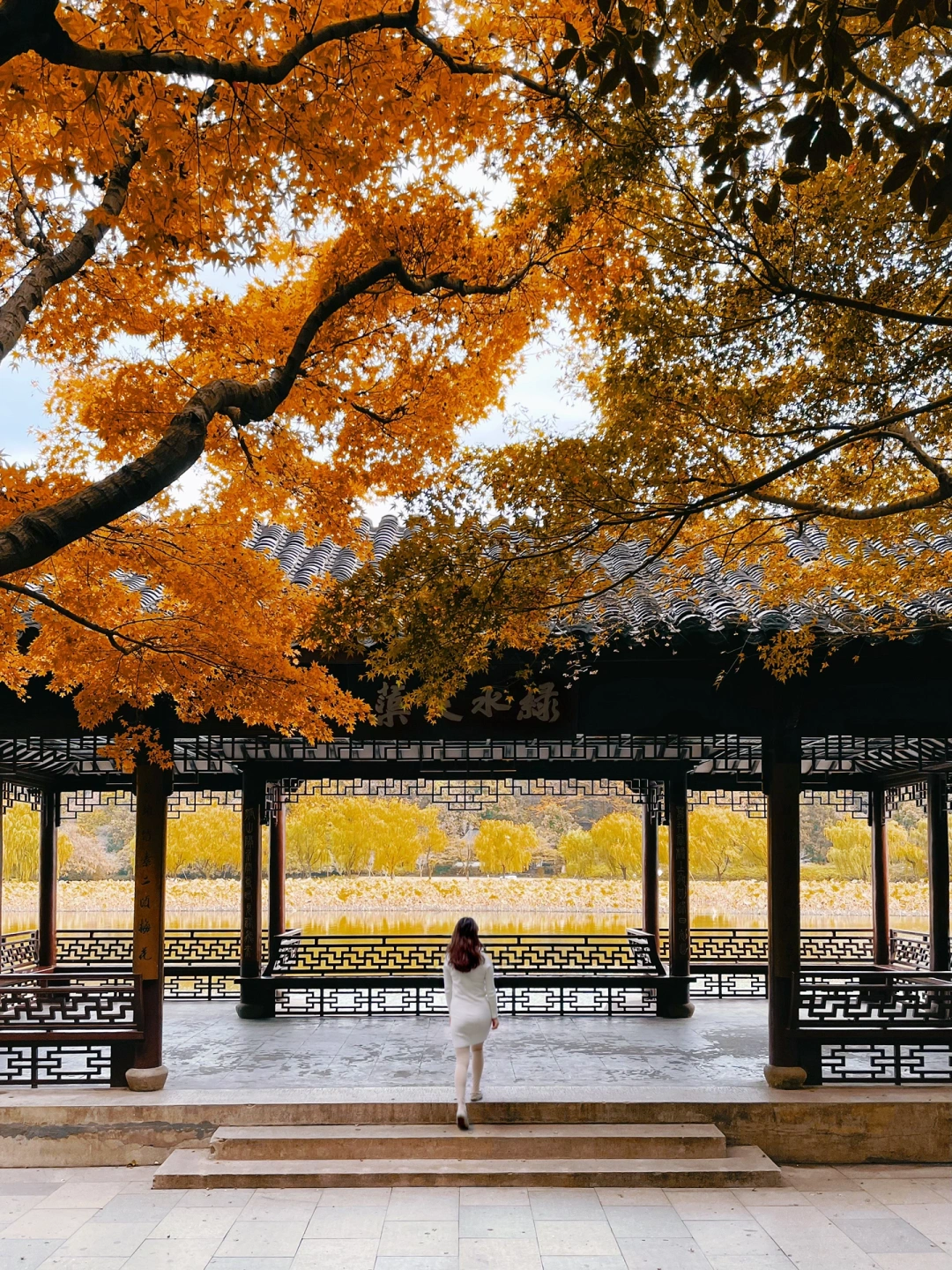 走进深秋画卷，西湖不能错过的9⃣️个神仙机位