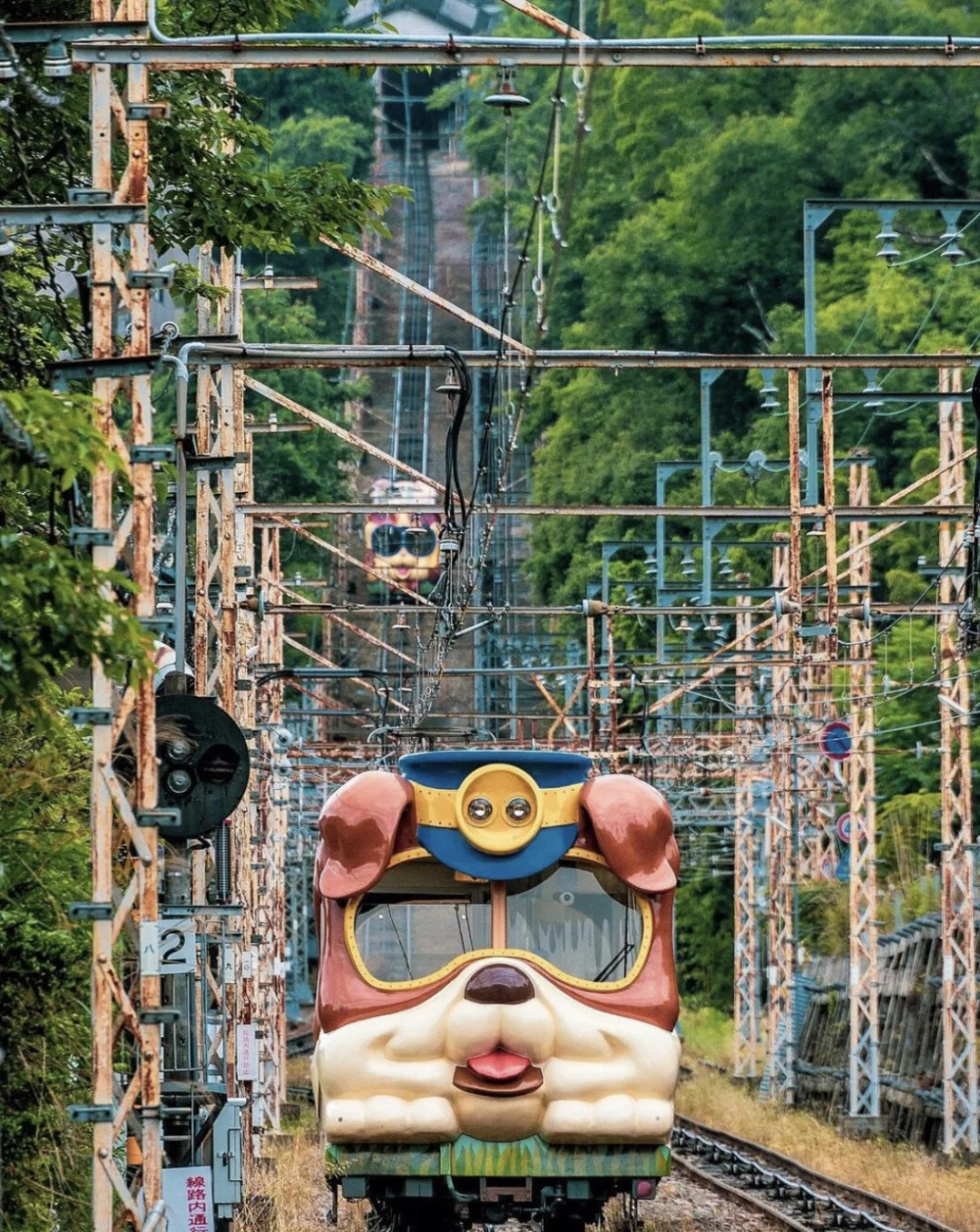 奈良生驹山的狗狗缆车 好可爱吧🐶🚡