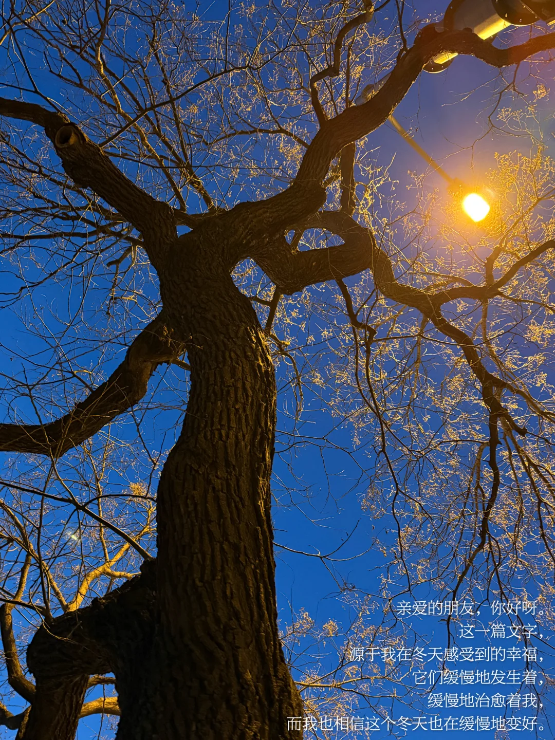 古法过冬｜冬天 我在靠近缓慢而温暖的事物