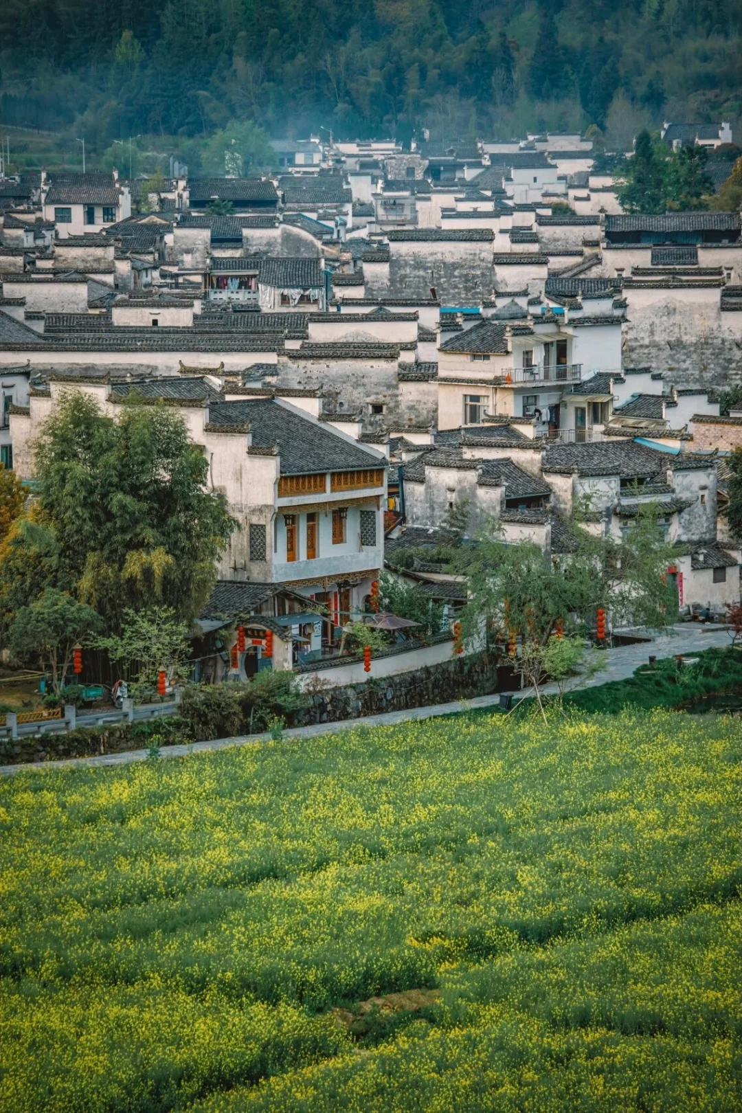 《国家地理》没有骗我，这个避世古村太绝了