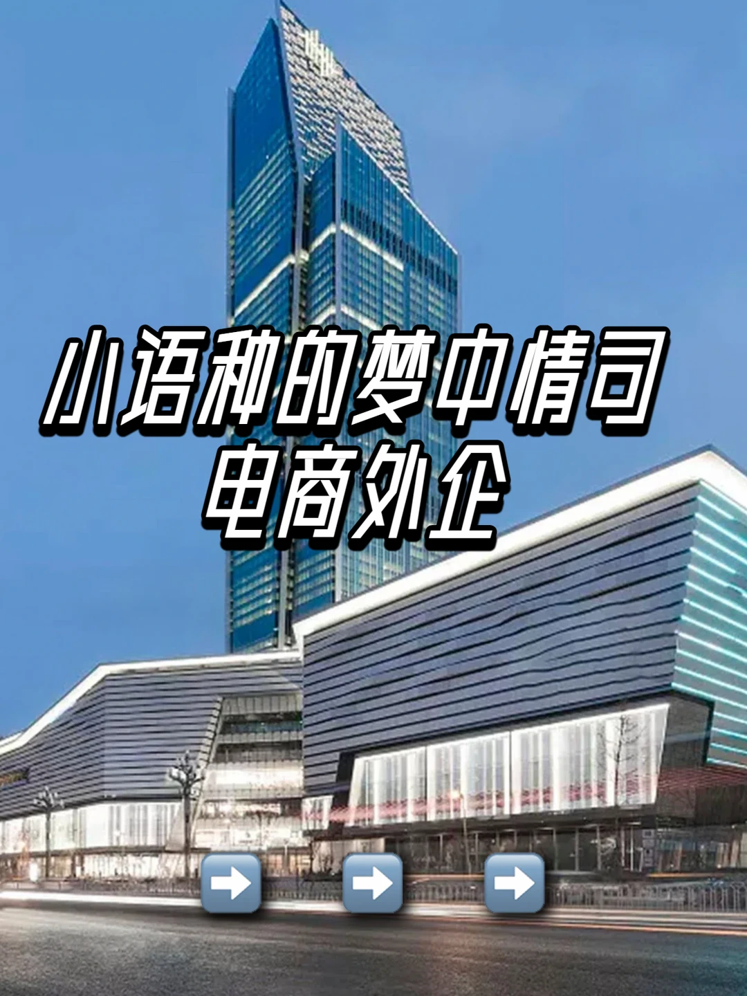 小语种的梦中情司：电商外企