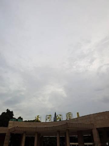 分享图片