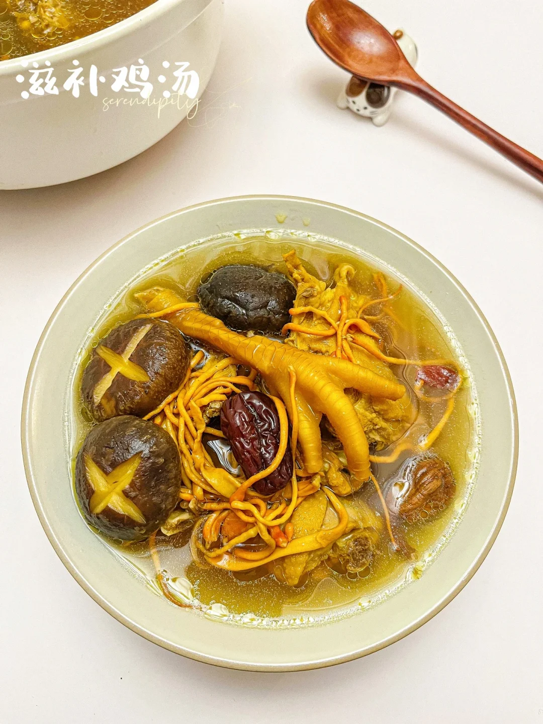 滋补鸡汤 | 🥘冬日暖身鸡汤，暖心暖胃
