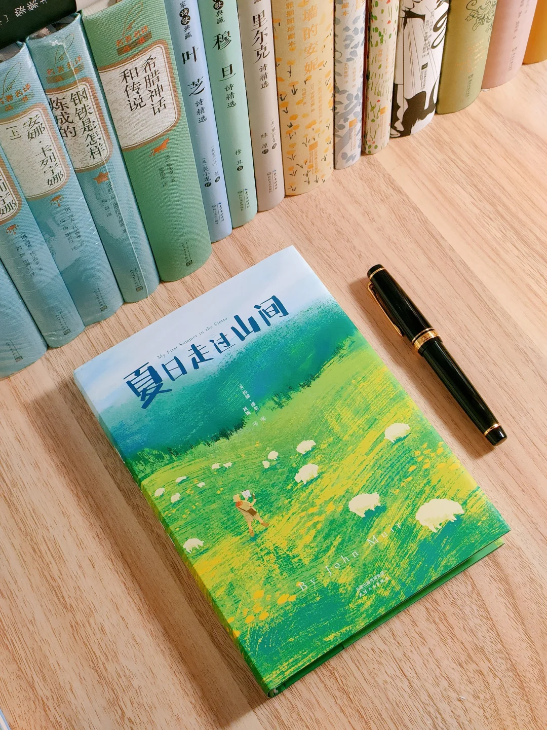 治愈🍃每一页都是值得抄写的文案天花板