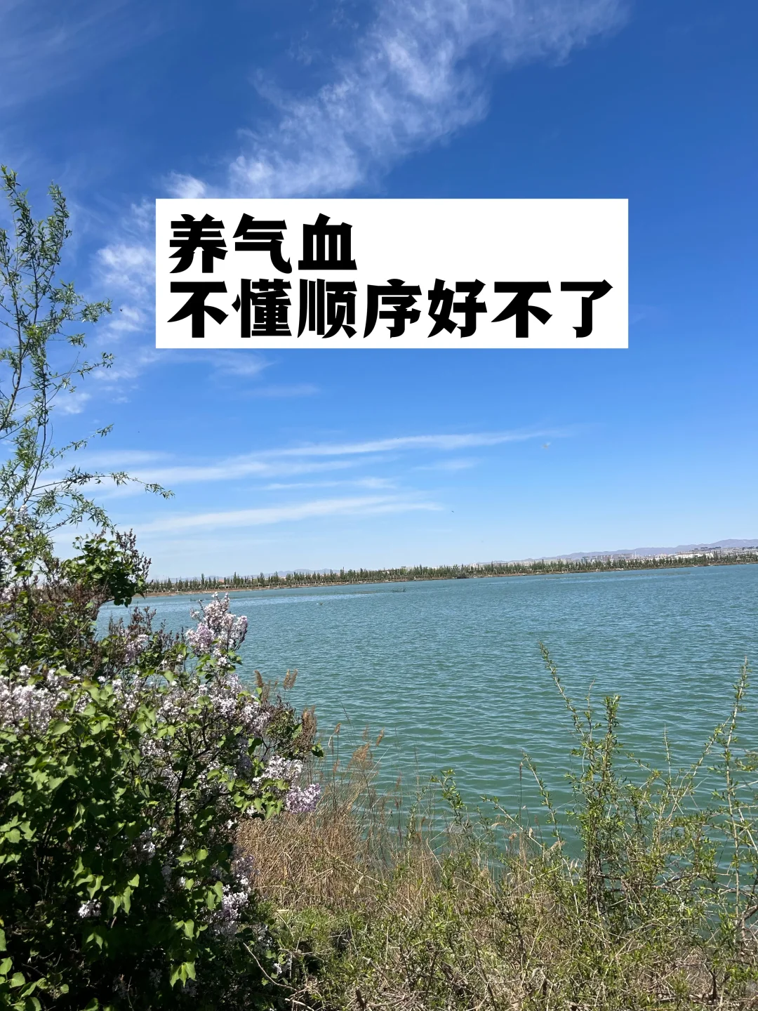 养气血 不懂顺序好不了