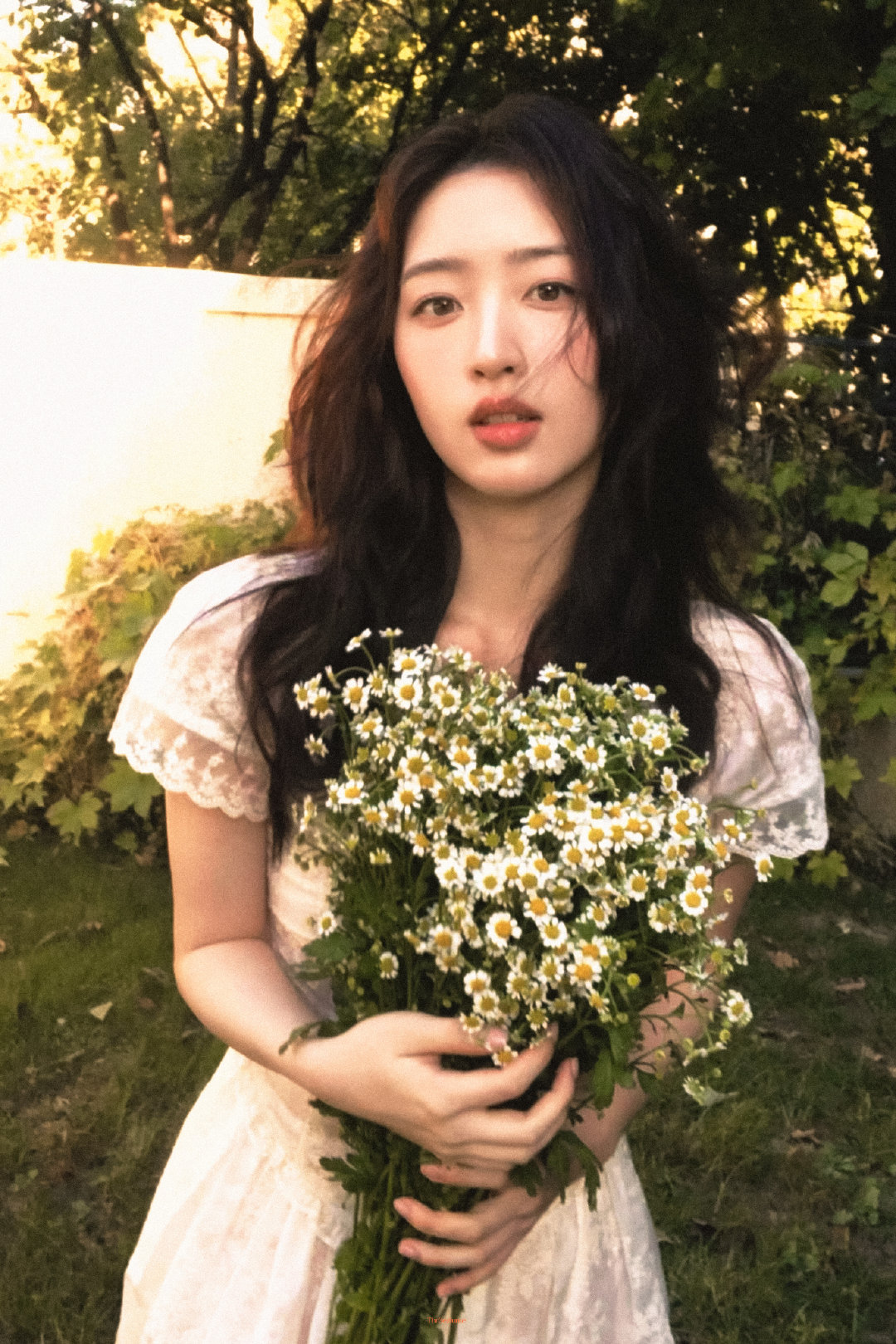 邓恩熙🧚♪︎˖⋆🌼 ​
