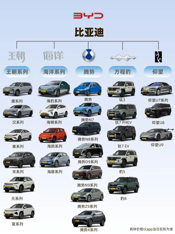 国产电车TOP是？老牌 vs 新势力大比拼