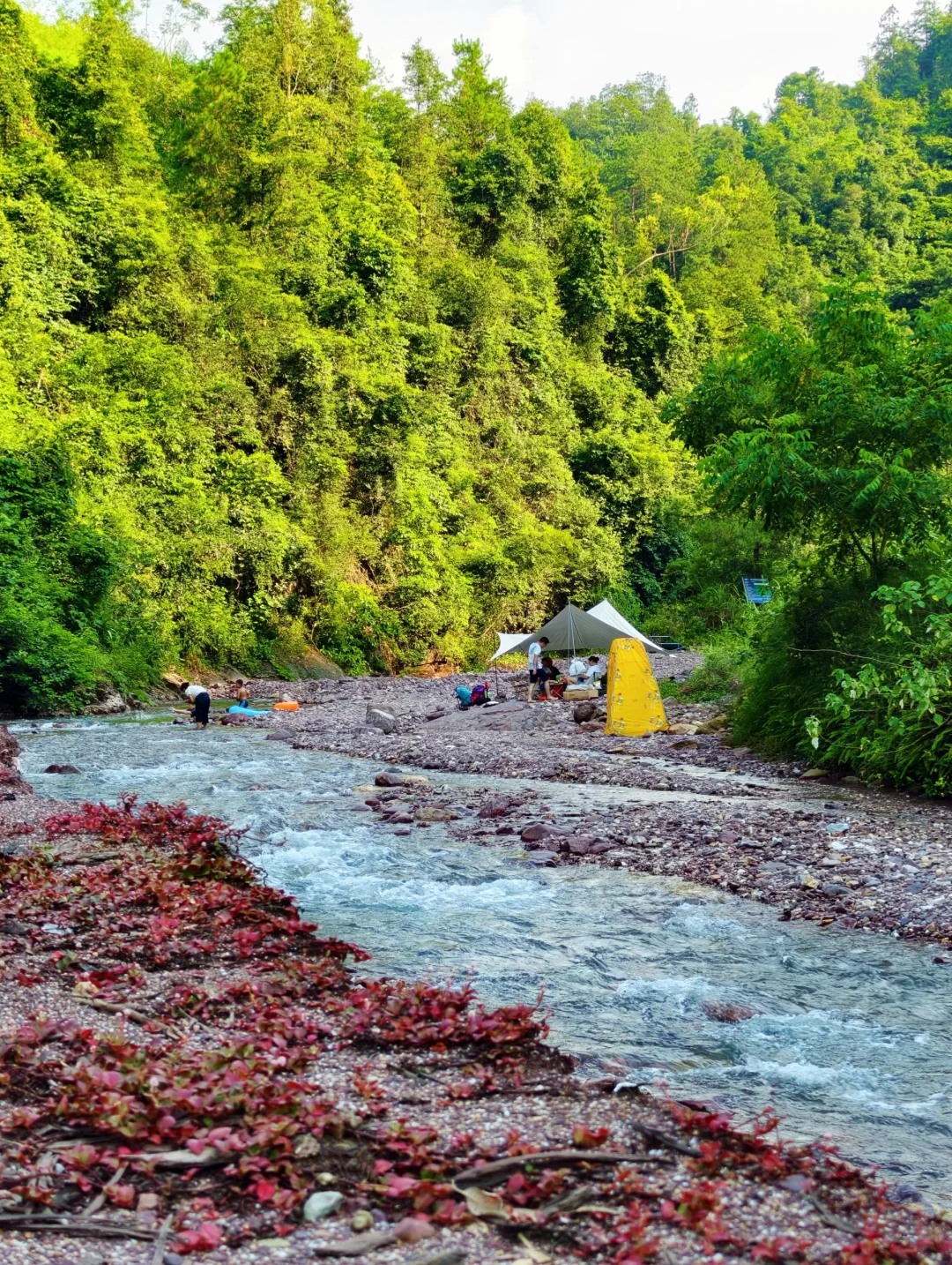 荔浦小川西｜走进粉色河道溯溪