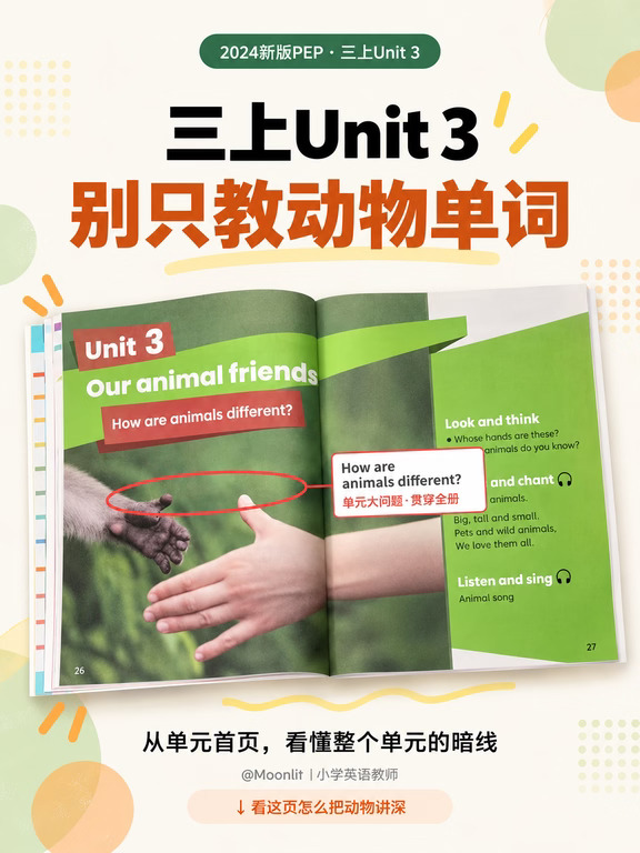 PEP三上Unit 3，别只教动物单词