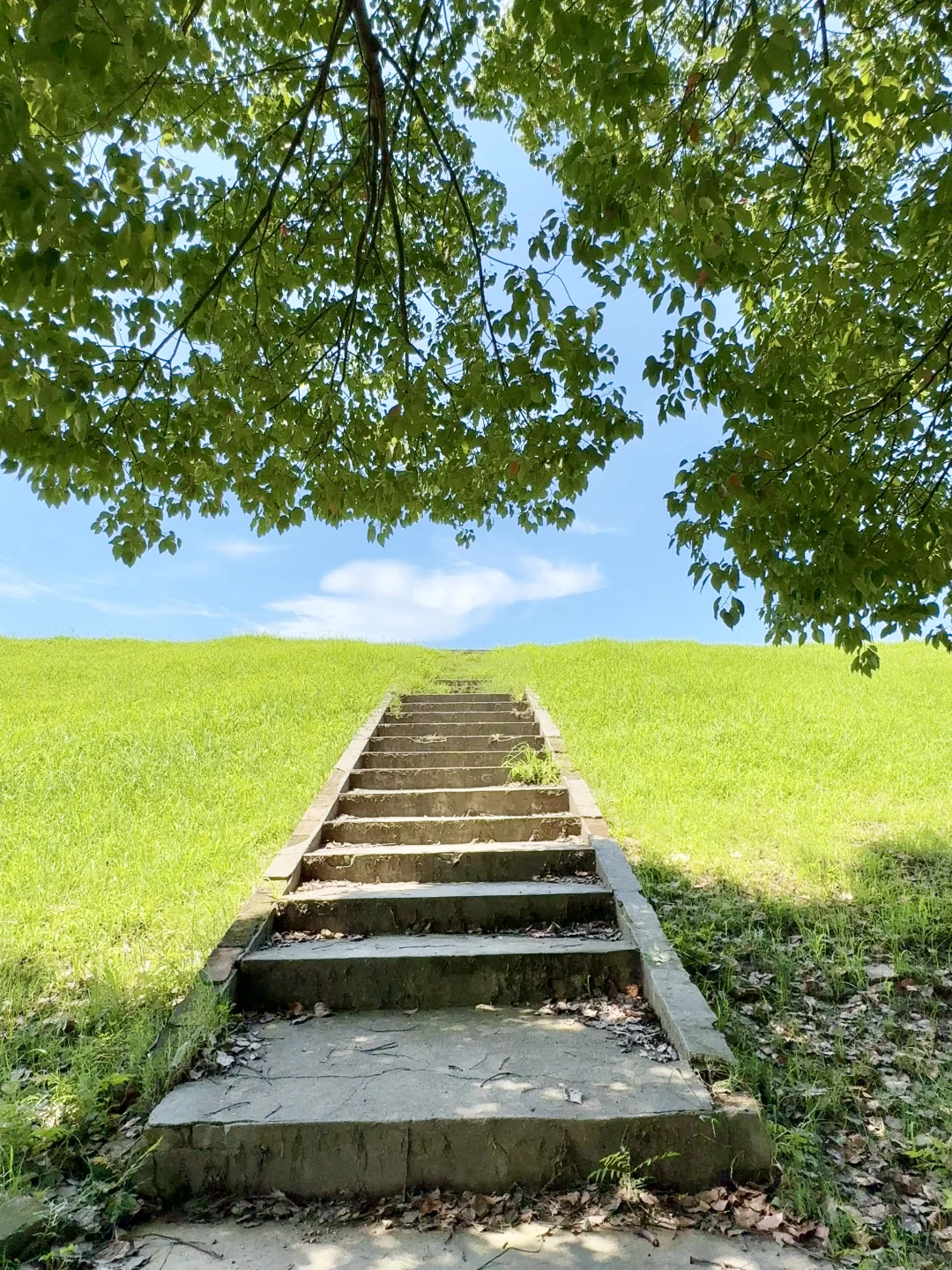 在武汉‼️终于找到现实版宫崎骏夏天🌿