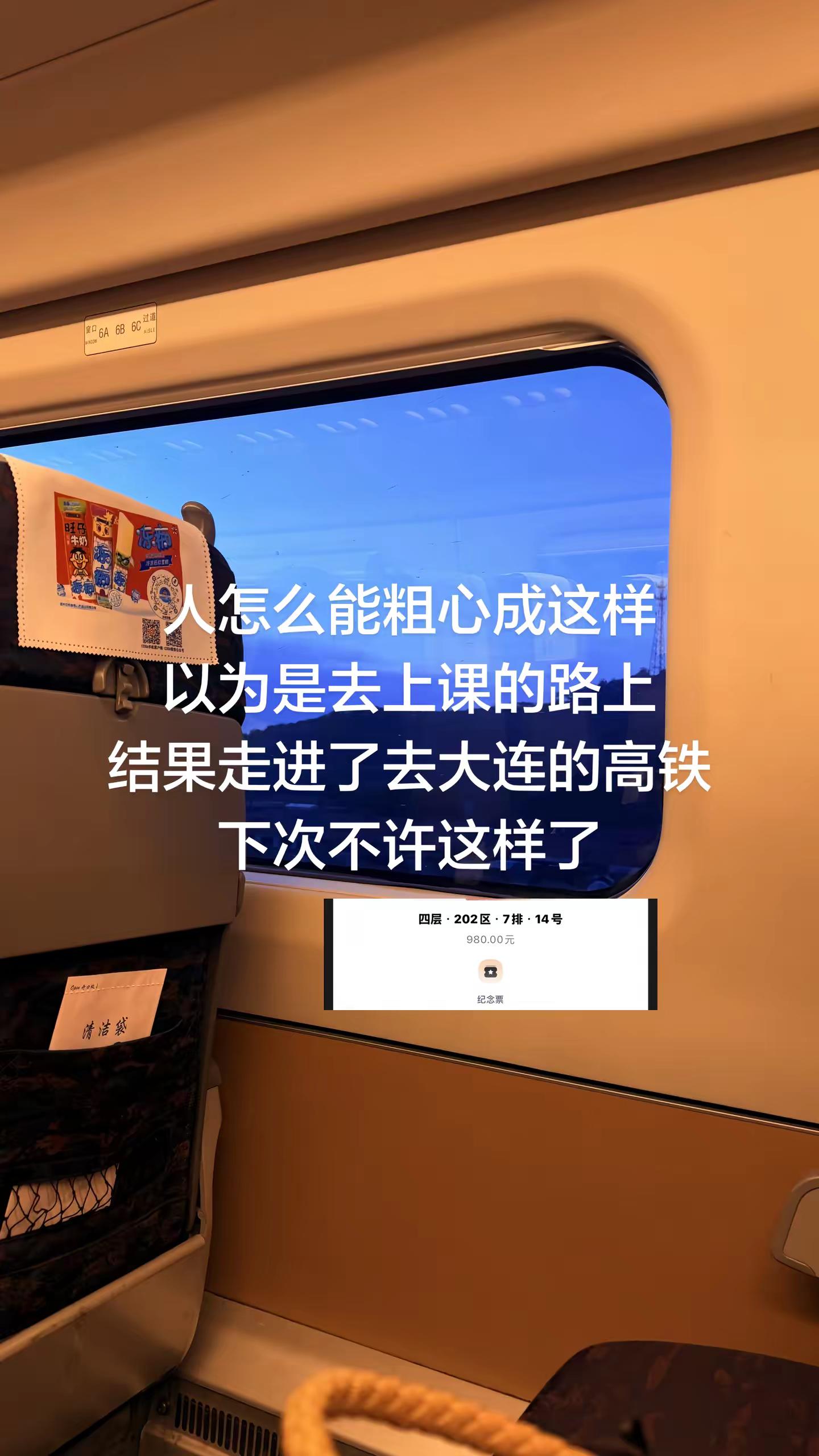 单依纯 单依纯演唱会