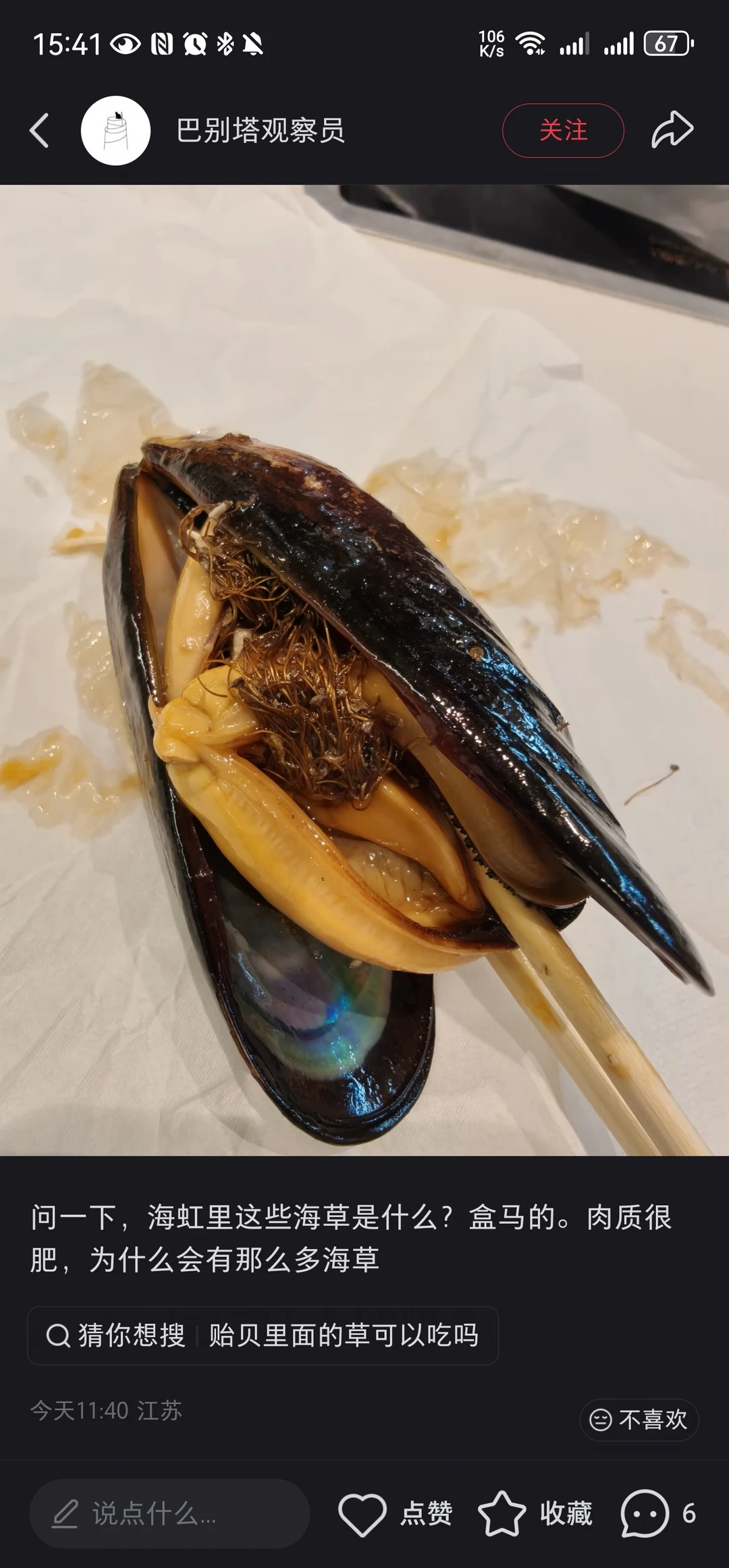 海虹里面为什么这么多海草？