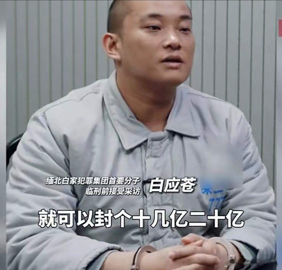 真没想到缅北诈骗，总资金盘居然如此之大，随便一个资金盘就有十几二十亿，这得坑了多少人民。

#央视播出缅北电诈覆灭纪录片#  10月6日，《缅北电诈覆灭纪实》相关内容披露，缅北白家犯罪集团首要分子白应苍临刑前供述，诈骗带来的利益诱惑极大，很少有人能抗拒，随便运作一个资金盘就能敛财十几亿甚 ​