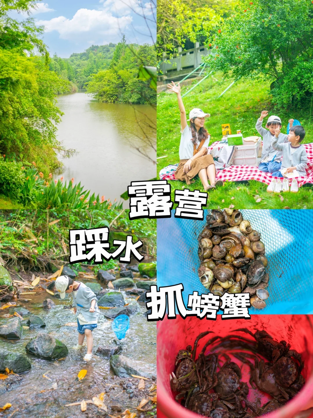 重庆新公园❗️免费露营⛺️+踩水+抓螃蟹🦀️