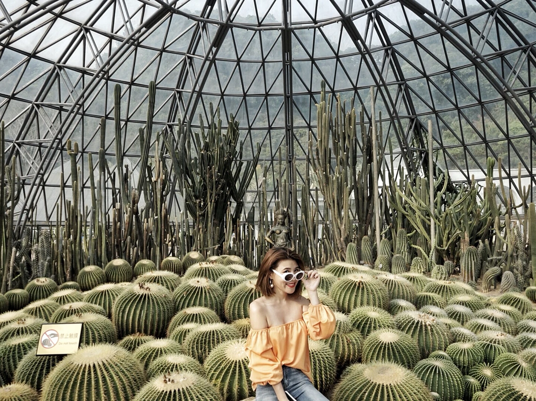 深圳网红打卡胜地|仙湖植物园, 坠入非洲的热带花园