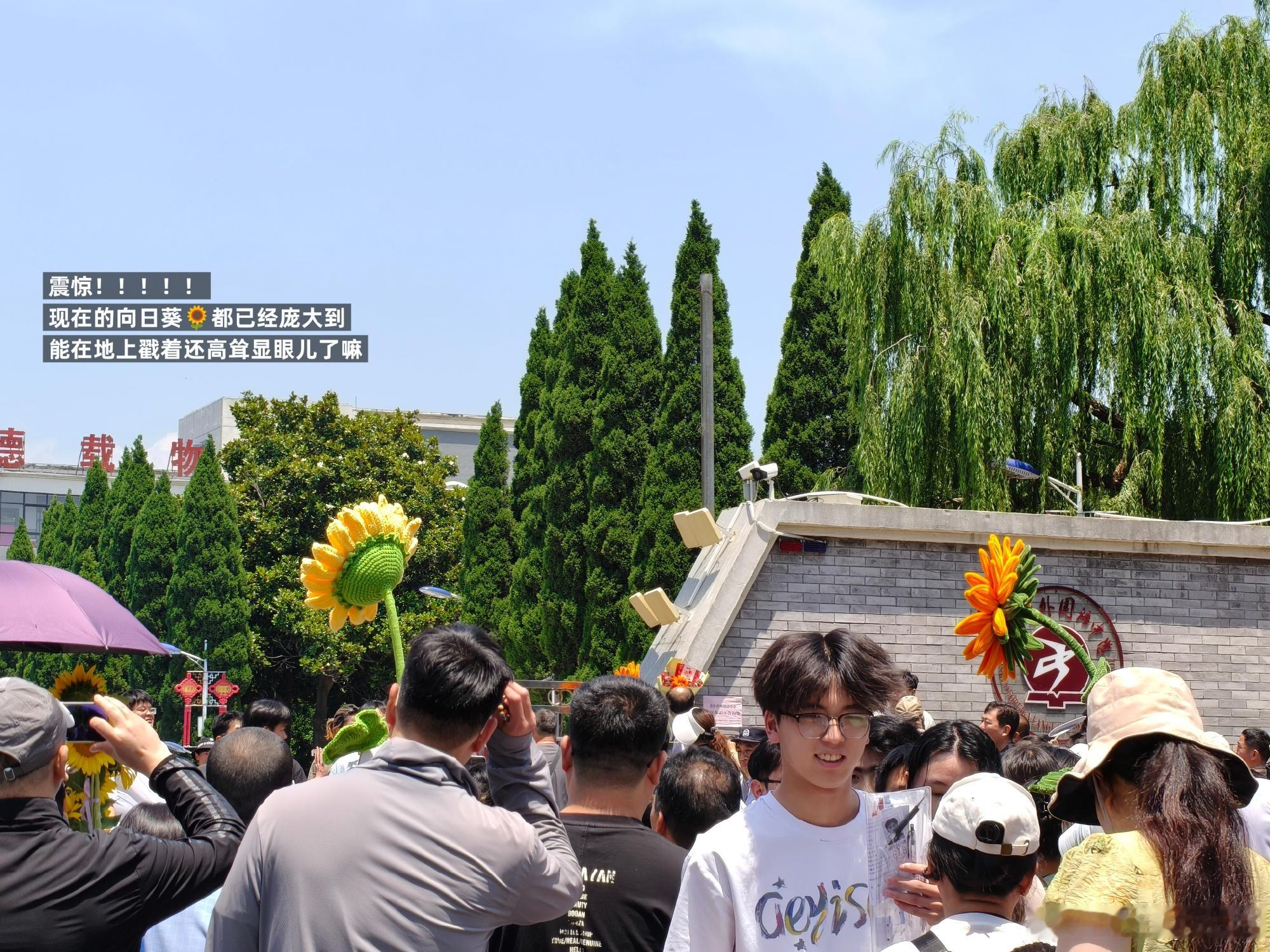 No.242026年的高考落下了帷幕旅游旺季正式到来期待已久的今年第一...