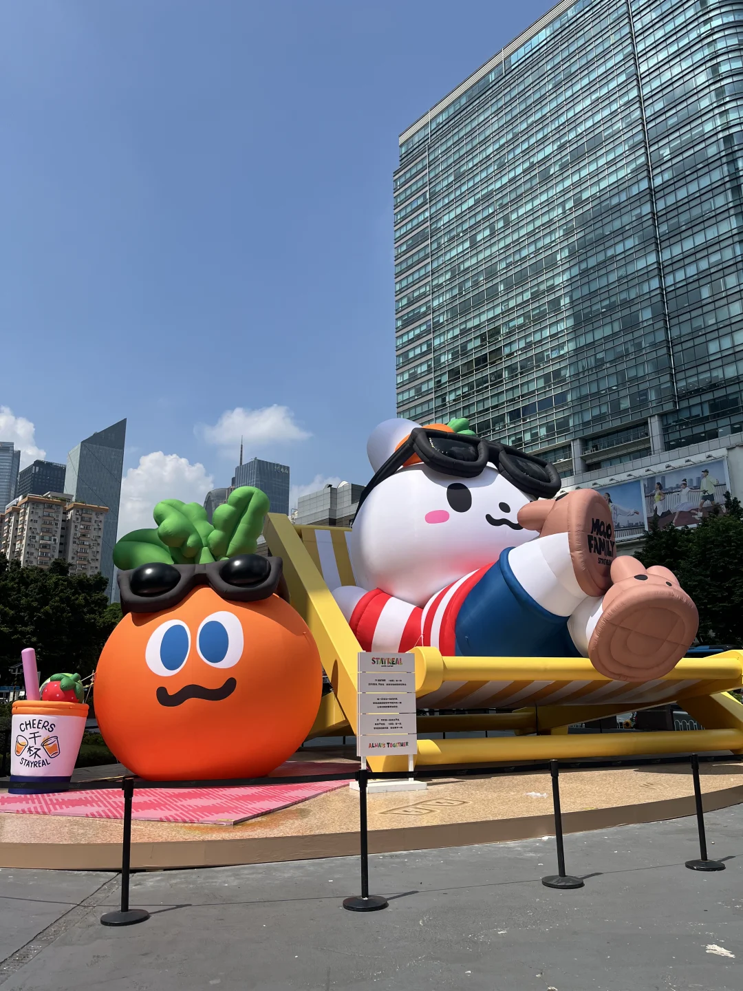 是谁那么chill~在晒太阳🌞