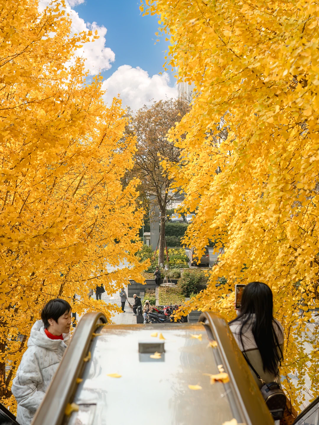 我会反复爱上杭州的秋天❗
