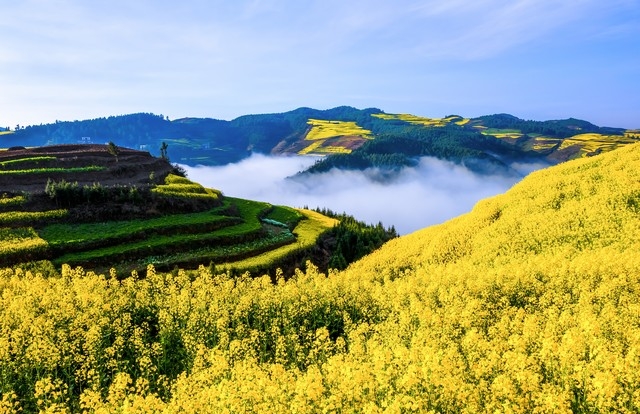 两性关系:夫妻吵架后，聪明人用这招和好，笨人才冷战。