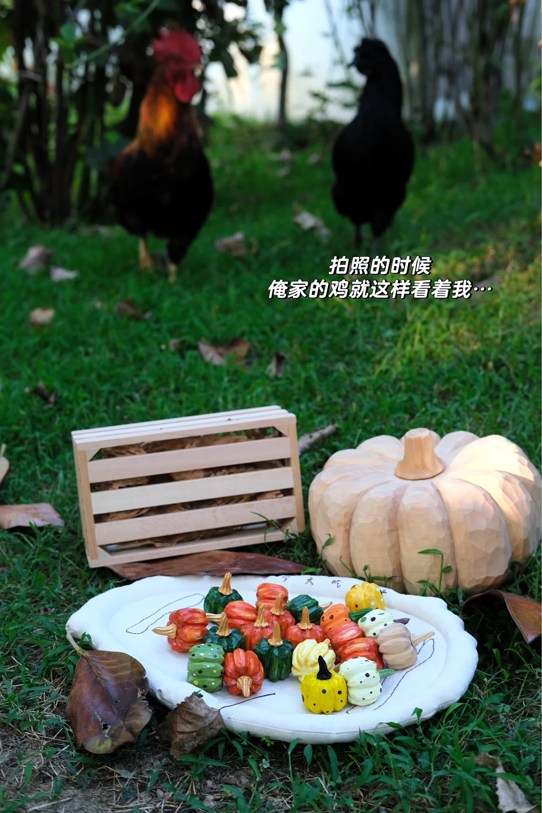 回村生活｜被鸡🐔围观我拍木雕南瓜🎃