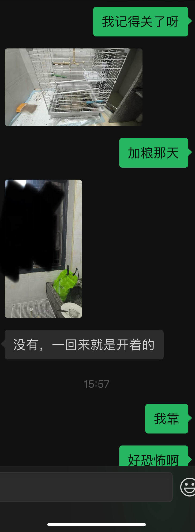 室友鸟失踪了我要赔吗[哆啦A梦害怕] ​