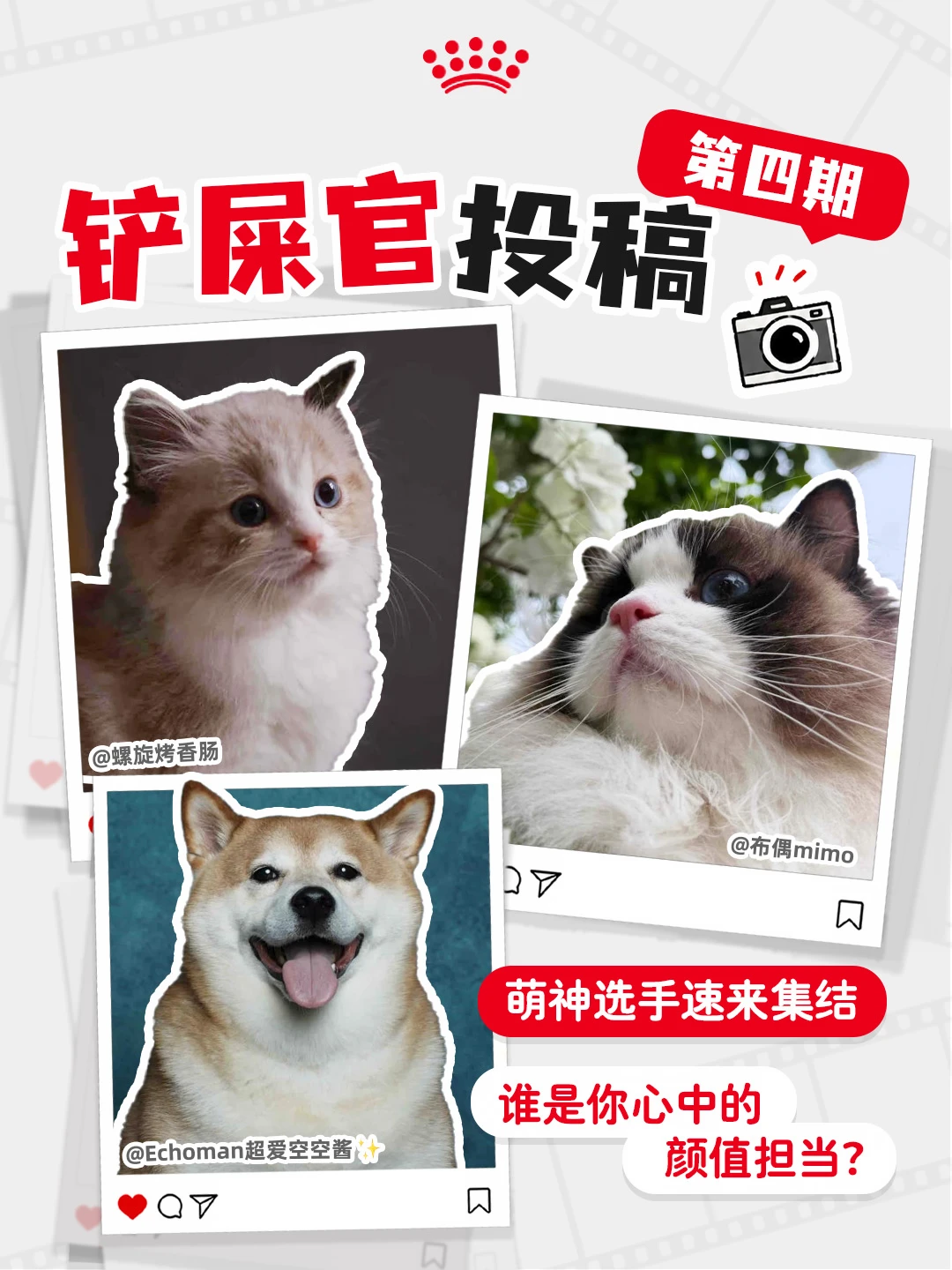 投稿第四弹更新📣晒图有惊喜福利！