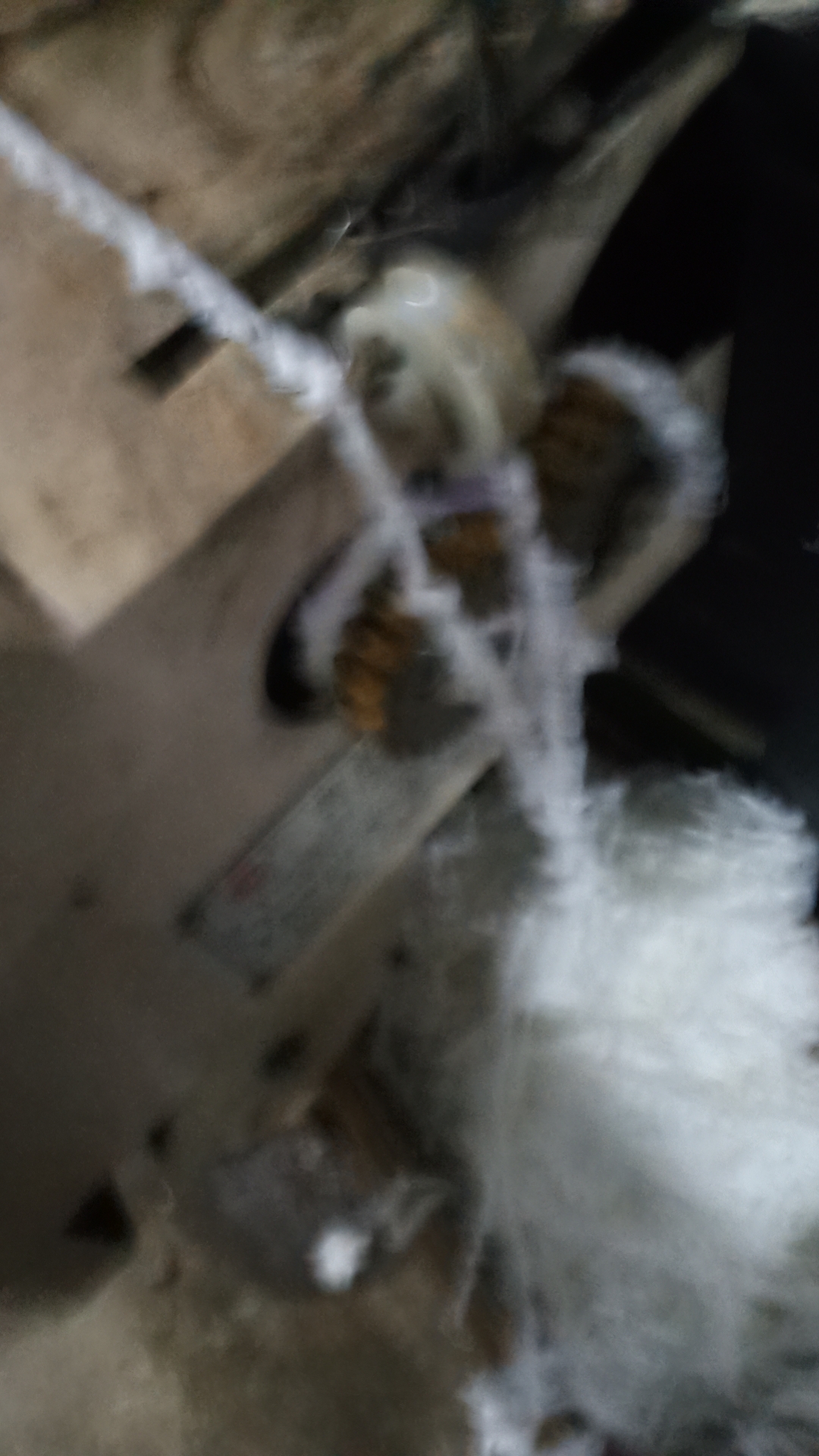 <p>一张照片证明你的工作 创作者中心 创作灵感 <!--{img:0...