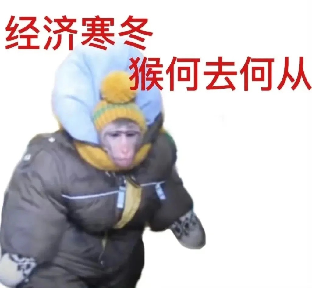上网会用到的白底实用发疯表情包