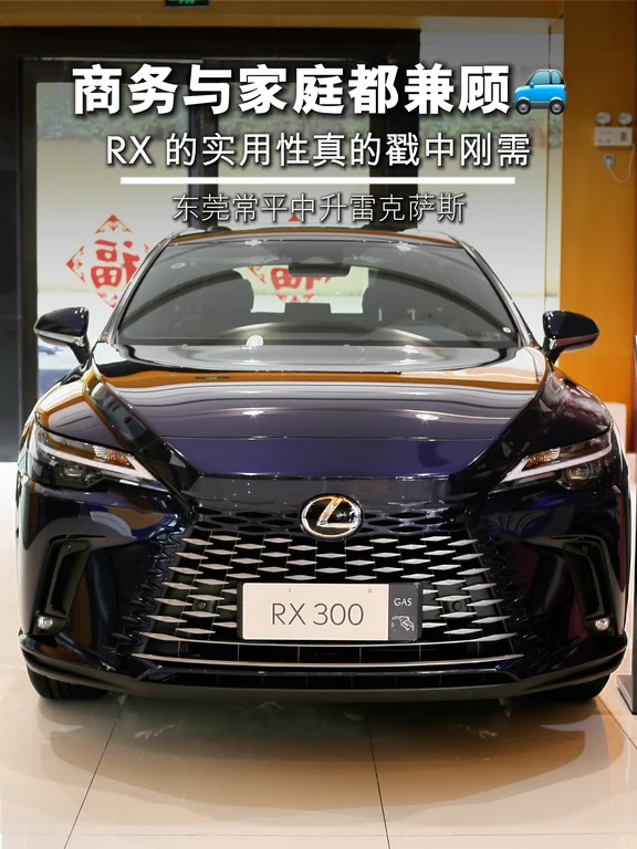 商务与家庭都兼顾🚙RX 的实用性真的戳我