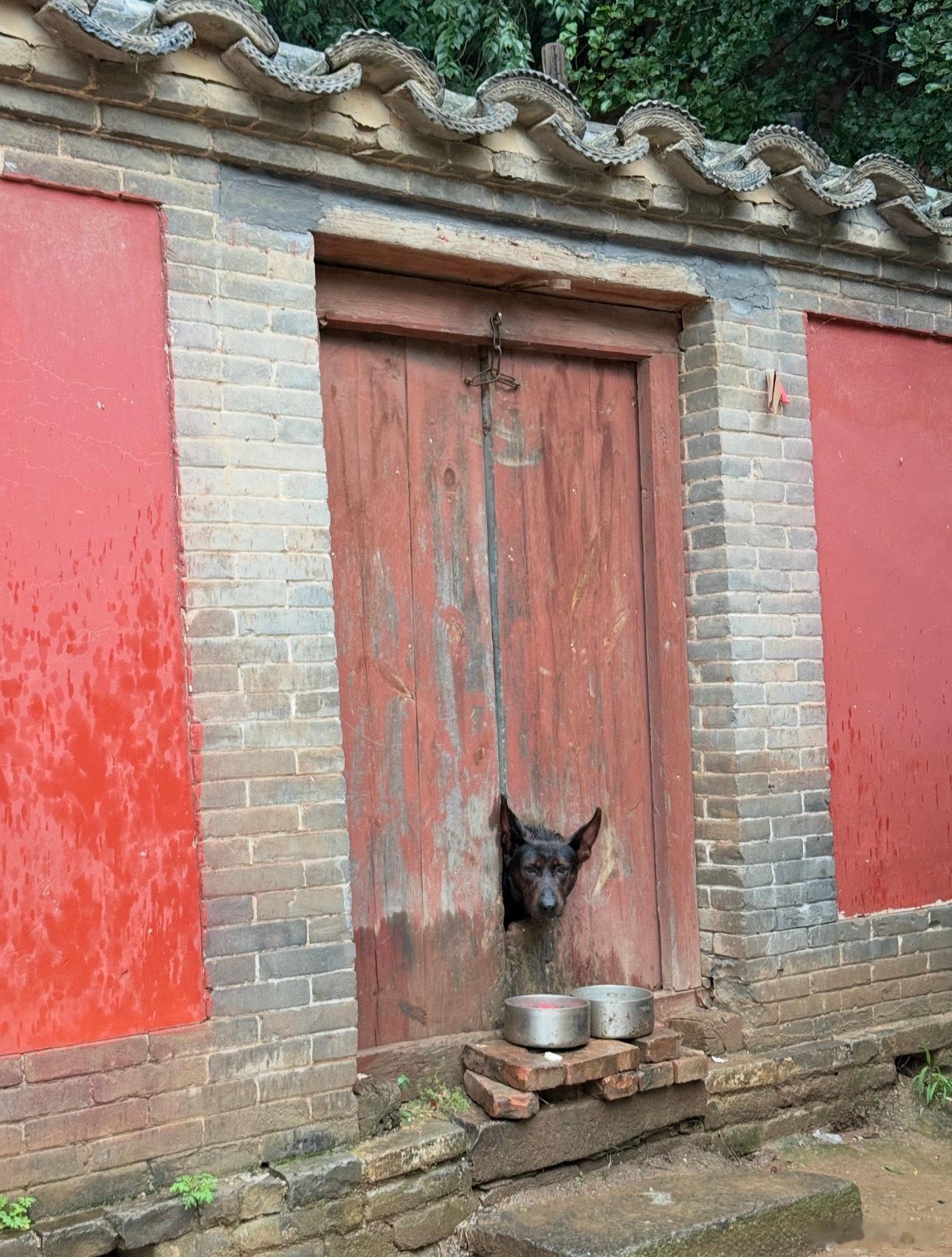 山西佛光寺的网红护卫犬“二亮”被做成了文创冰箱贴，因其从门洞探头的经典画面取名二亮“出头之日”，精准戳中打工人情绪而一夜爆火。  一、冰箱贴的创意来源- 原型小狗二亮：它是佛光寺的看门护卫犬，门上的洞