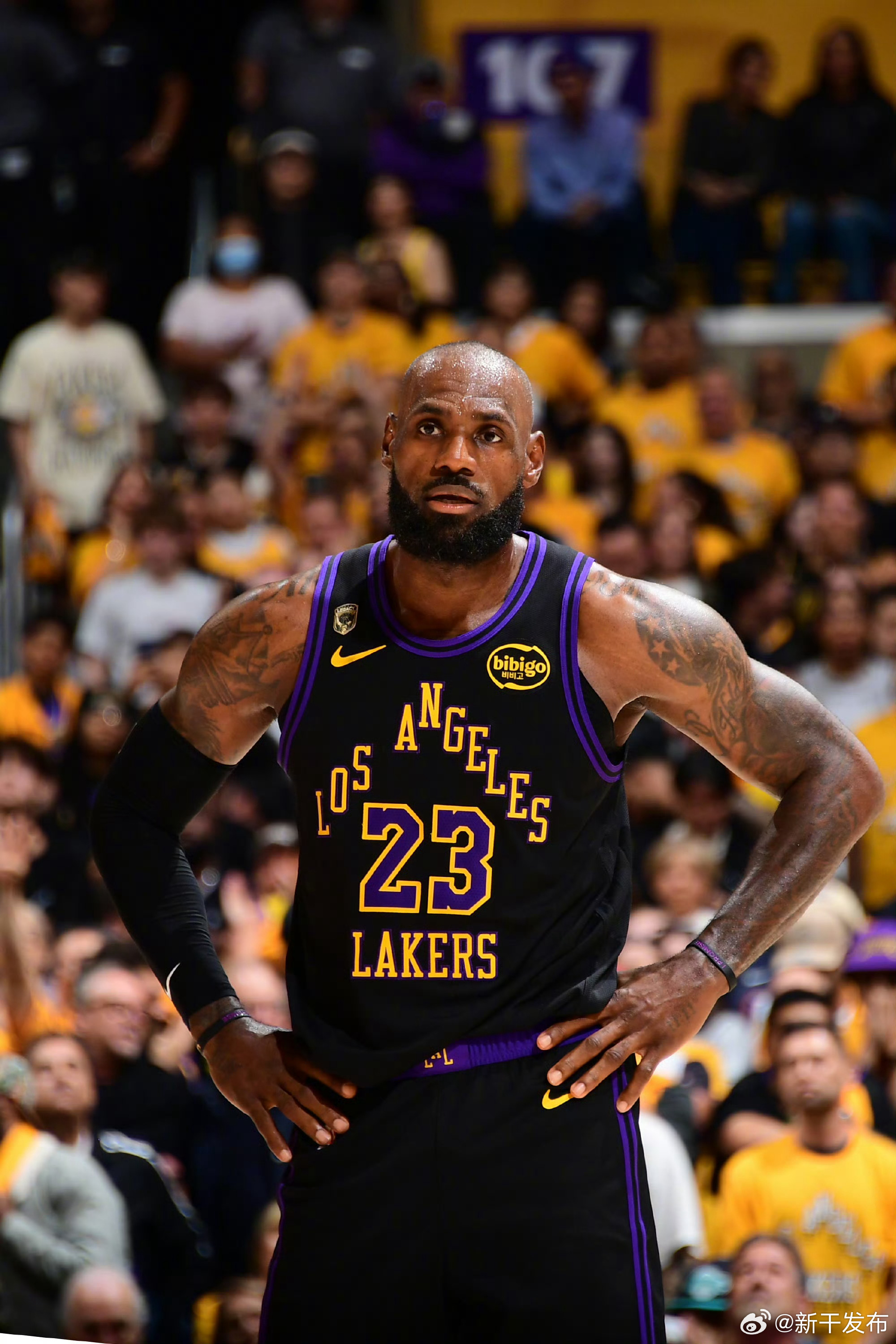 老兵永远不死，只会逐渐凋零。在NBA刚刚发布的25-26赛季最佳阵...
