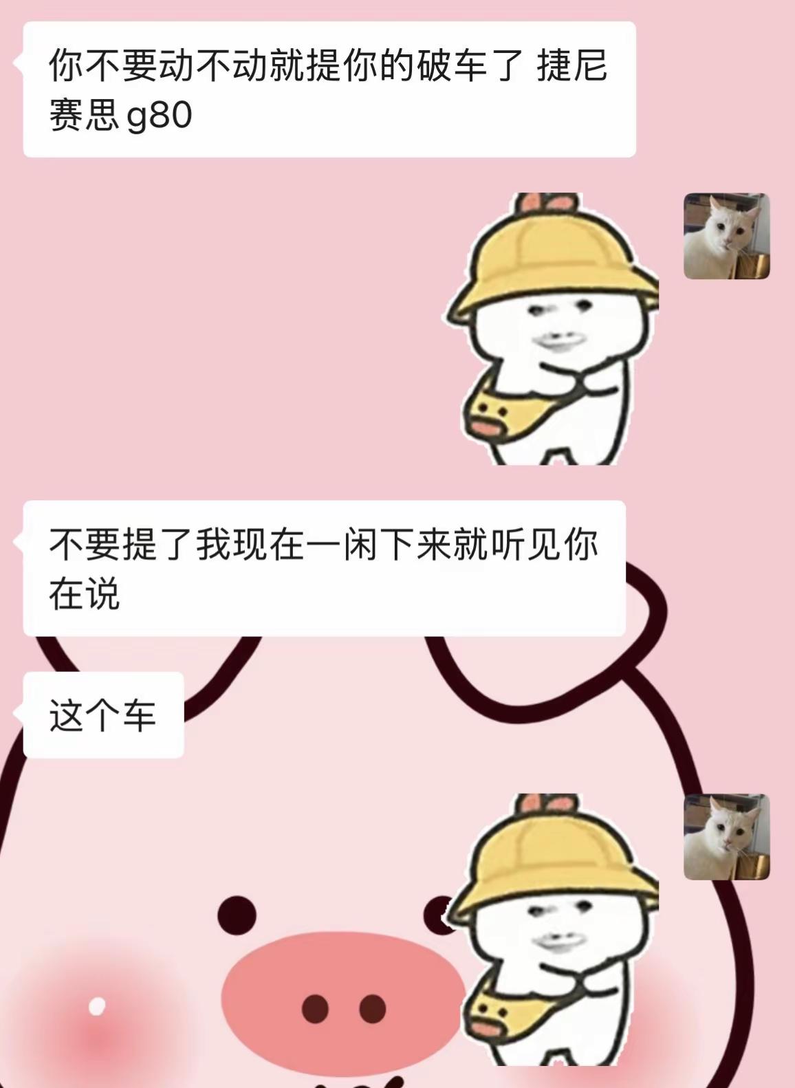 对不起 捷尼赛思G80 假如当时G80落地能到27左右就真买了捷尼赛思g80 捷尼赛思