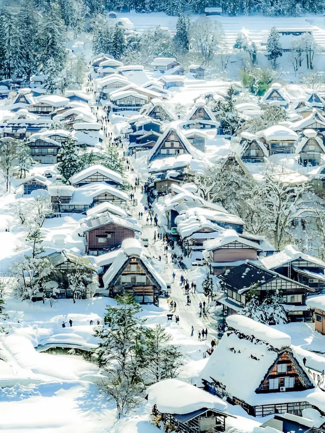 报告！发现了宫崎骏动画里的村庄......