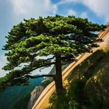 三秦二三事
