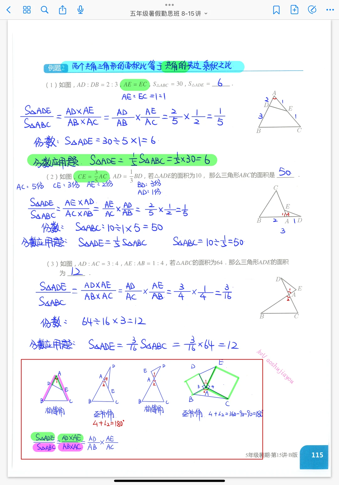 《鸟头模型》五年级暑假奥数课堂笔记
