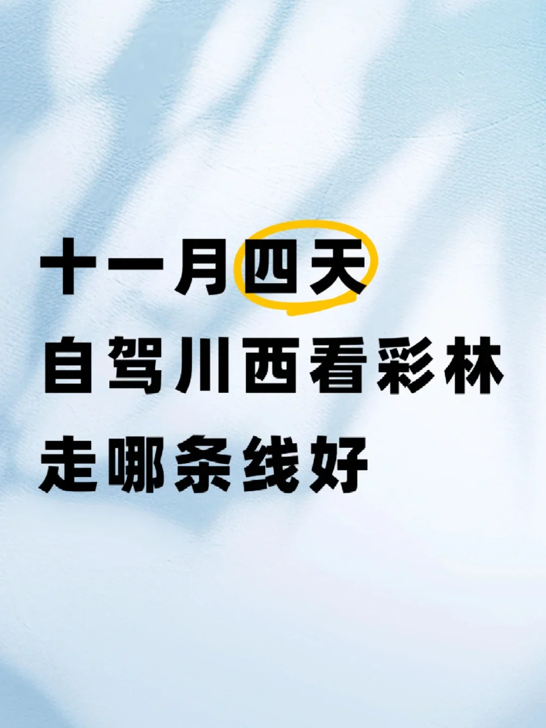 趁着立冬看彩林！