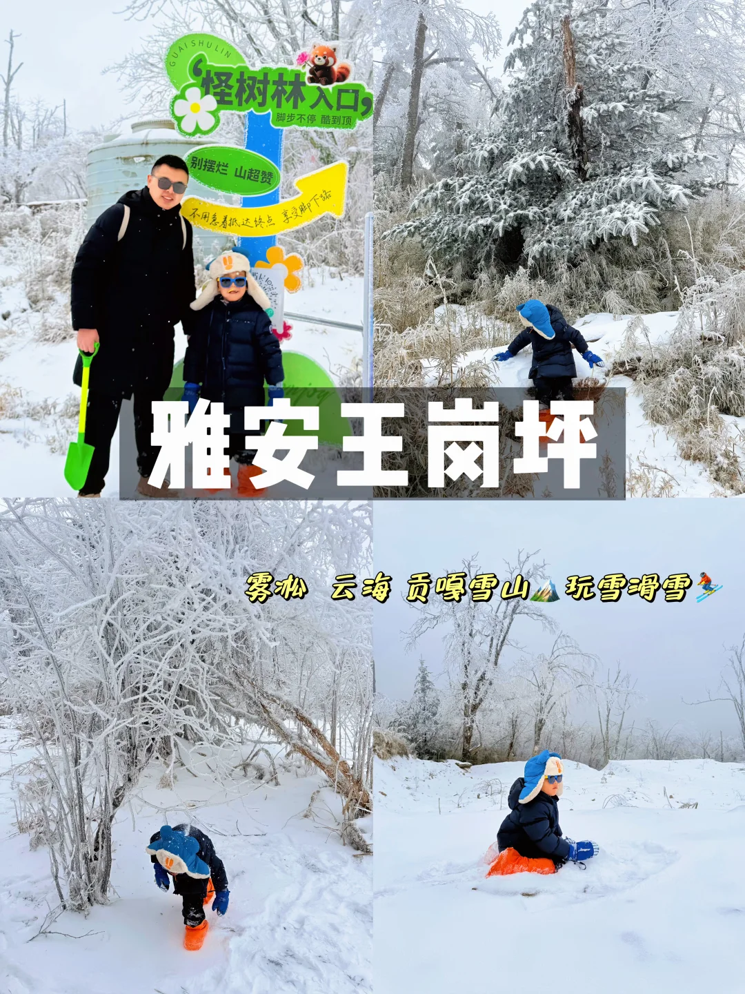 成都3.5h直达‼️雾凇云海贡嘎滑雪全get实拍