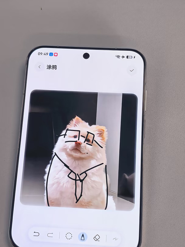 同学这里不让随地大小画