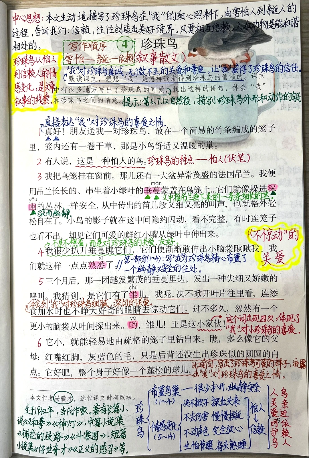 五年级上册第4课《珍珠鸟》课堂笔记