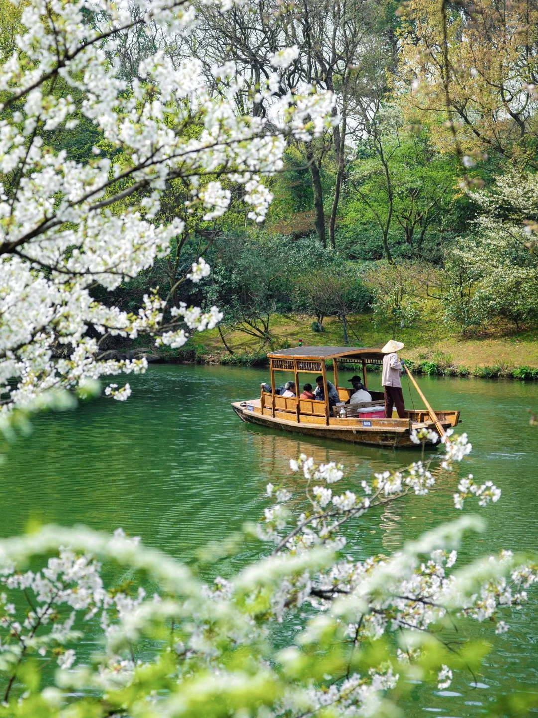 人生建议：逛完这条西湖赏花路线再离开杭州！