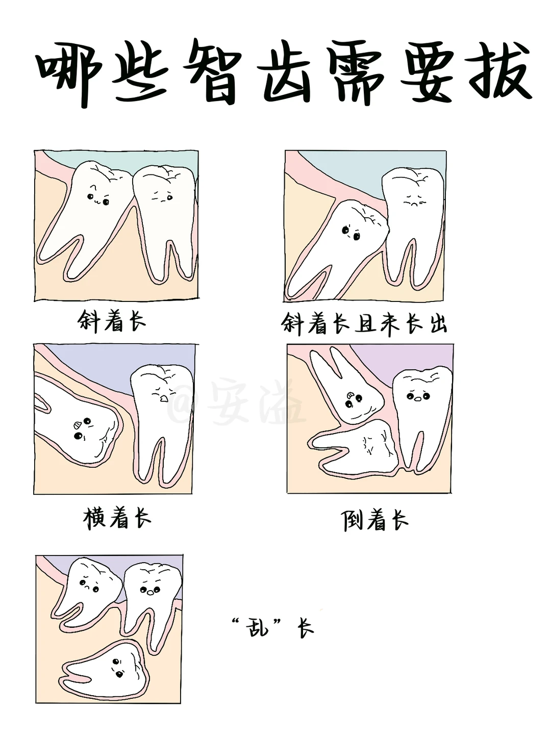 医学生绘本‖哪些智齿需要拔🦷