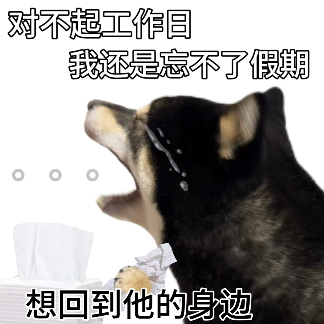 今天的鱿鱼🦑从睁眼开始