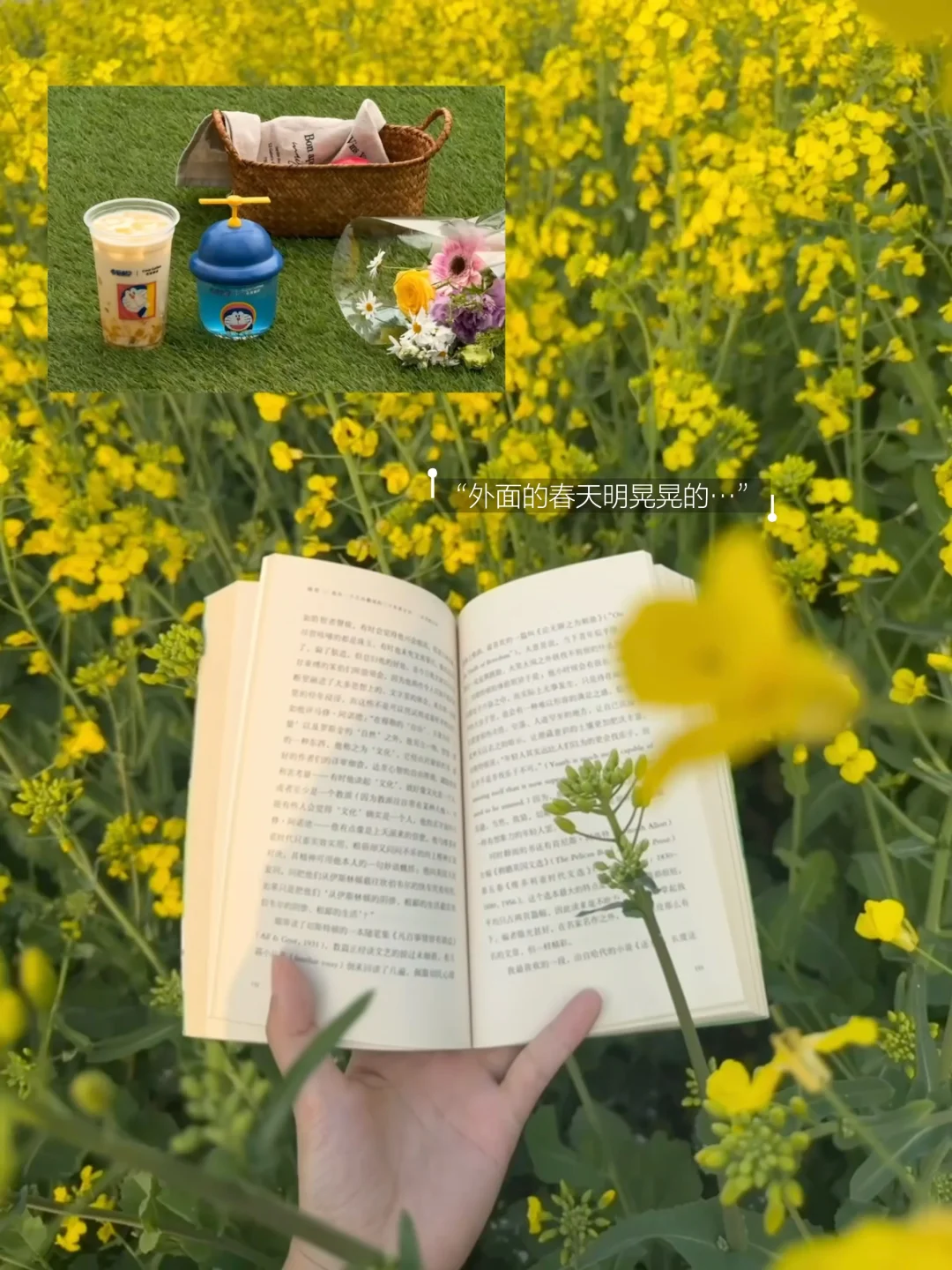 晒太阳 看书 散步，活在具体的生活里。