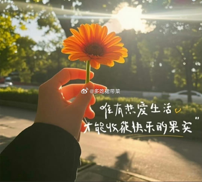 9.28：合集推文[桃里桃气][桃里桃气]吃得饱想的少，天天开心没烦恼。[相爱][相爱]粉求+今日新文【22期 ​​​】 ​​​