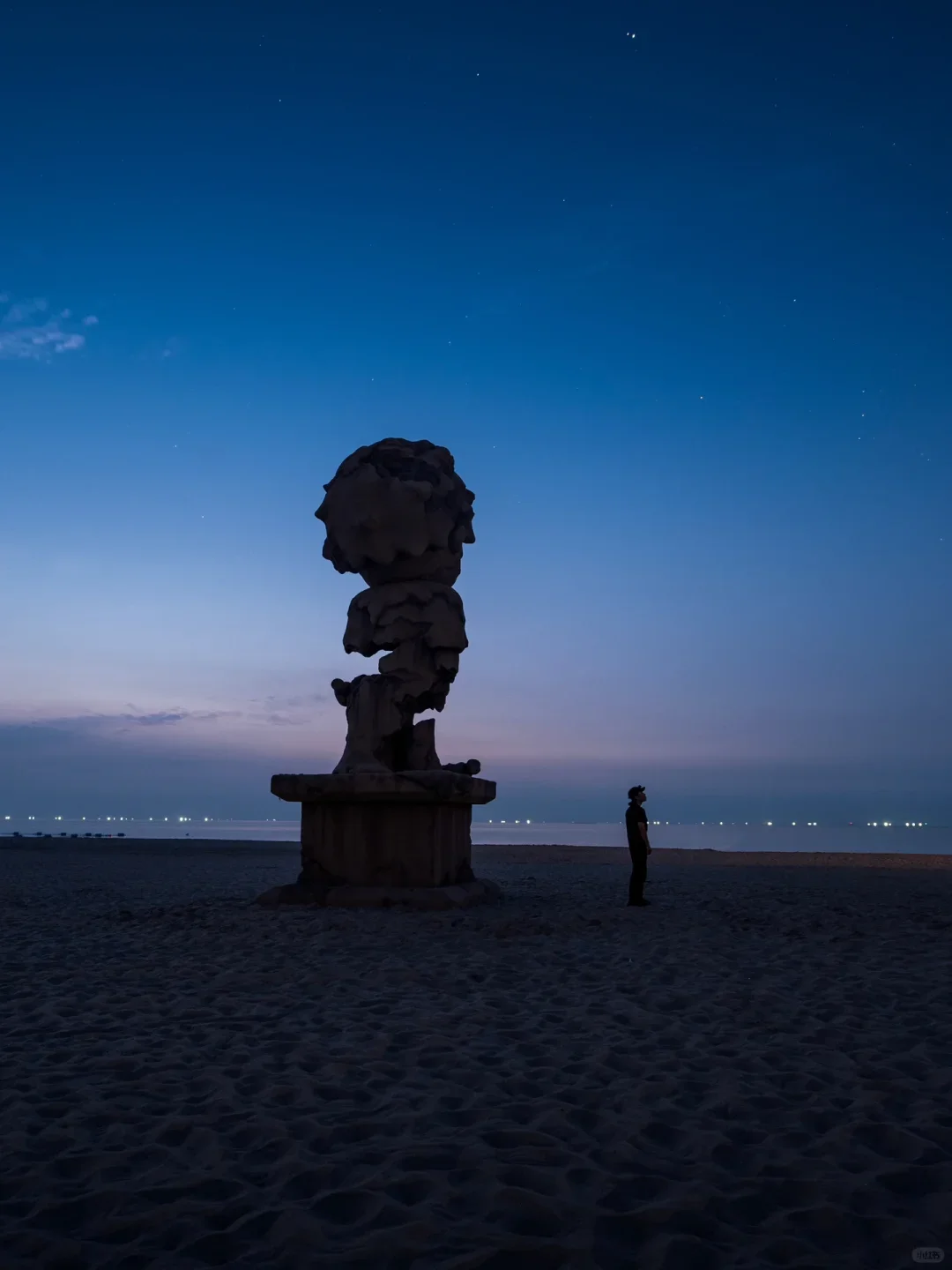 小野伫立海边 | 重塑艺术中的宁静力量